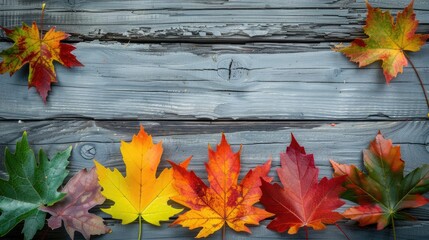 Poster - Maple leaves of various colors on wooden background with space for text