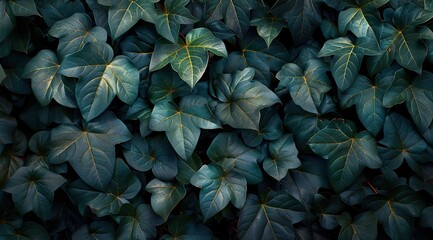 Canvas Print - leaves background
