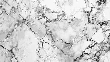 Wall Mural - Background of white marble