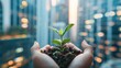 © Seksan - Growing plant in hands against a backdrop of skyscrapers, highlighting the integration of nature and sustainable ESG policies