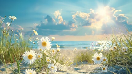 daisies in full bloom on a sandy beach under a bright, sunny sky with scattered clouds