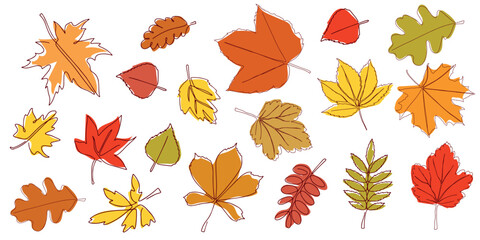 Wall Mural - Set of bright autumn leaves drawn in a continuous line. Autumn leaf in one line style. Flower sketch. Composition of various leaves. Simple contour leaves. Vector illustration 