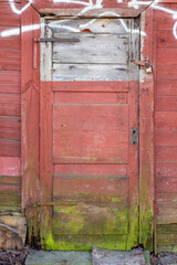 Wall Mural - The old wooden door - grunge background texture for design