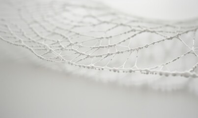 Wall Mural - Crisscrossing lines forming a delicate web on a white backdrop, abstract background