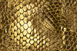 © ink drop - Seamless gold snake skin background. Repeating texture