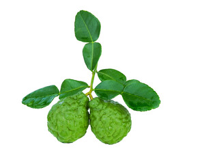 Wall Mural - bergamot fruit with leaf isolated on white background with tranaparent.