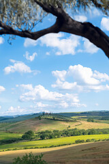Wall Mural - A typical rolling Tuscan landscape, Tuscany, Italy