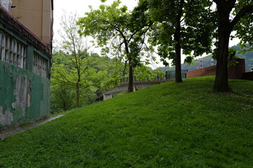 Wall Mural - alley in the park