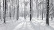 © AkuAku - Monochromatic winter woods a vertical panorama
