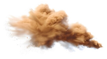 Canvas Print - Tan cloud of sand blown on a white background