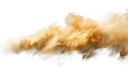 Canvas Print - Tan cloud of sand blown on a white background