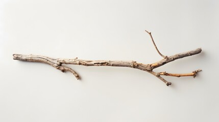 Wall Mural - a wooden branch white background