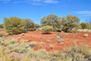 A view of the landscape in the Red Center of Australia. 