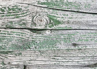 Wall Mural - surface of old gray wooden boards