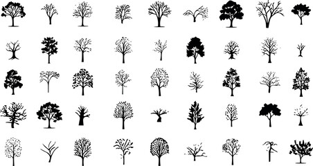 silhouette tree line drawing set, Side view, set of graphics trees elements outline symbol for architecture and landscape design drawing. Vector illustration in stroke fill in white. Tropical