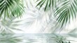 © MiaStendal - Palm tropical leaves over clear water, shadows, sun rays.