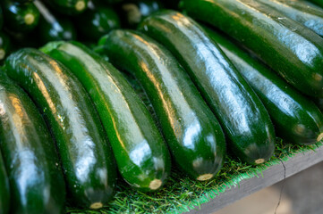 Wall Mural - Young green zucchini courgette vegetables on local farmers market in Dordogne, France close up