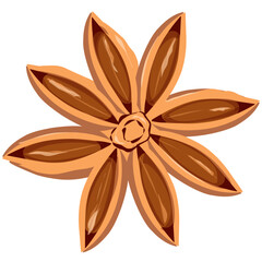 Star anise Illustration 