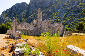 Wall Mural - Landscape of the ancient city of Olympos. With the remaining ruins of walls. Turkey