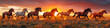 © YOAQ - stallion on meadow, horses running at sunrise or sunset. Fantasy Wall Art Poster Print Design for Home Decor, Decoration Artwork, Wallpaper & Background