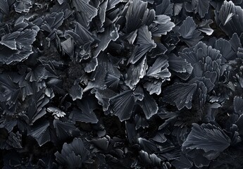 Poster - Abstract Pattern of Black Crystals - A close-up shot reveals a captivating pattern of dark crystals, resembling delicate, geometric leaves.