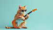 © ihalilyp - Guitarist cat isolated on light blue background, Animal photography