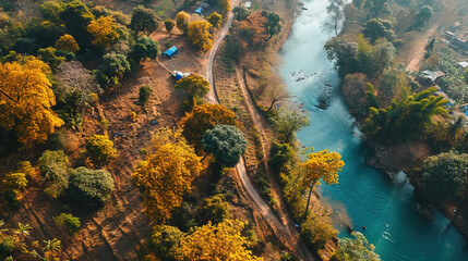 Wall Mural - Panoramic Top View Of Green Mangrove Tree Forest With River Lake Landscape Background