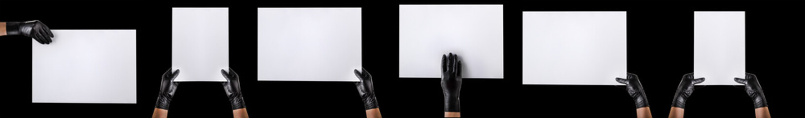 Wall Mural - Hand in black gloves holding blank cardboard isolated on black background