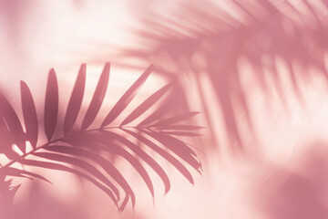 Poster - Pink tinted photograph of a palm leaf casting a shadow on a wall, minimal abstract background