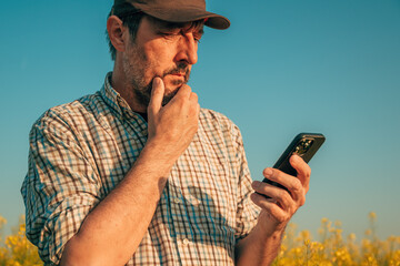 Wall Mural - Farmer agronomist using smartphone in blooming rapeseed field