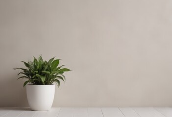 Wall Mural - plant in a vase