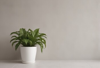 Wall Mural - plant in a vase on the floor