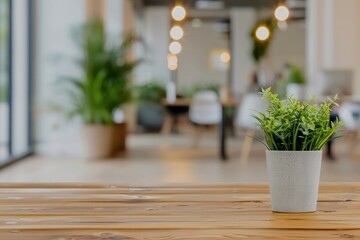 Poster - A potted plant sits on a wooden table in a room with a lot of greenery