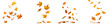© jxvxnism - autumn leaves flying or floating isolated on transparent background. autumn leaves blown by the wind