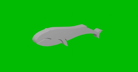 Poster - Animation of rotation of a white whale symbol with shadow. Simple and complex rotation. Seamless looped 4k animation on green chroma key background