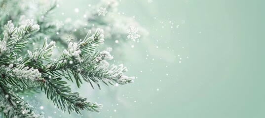 Canvas Print - A sophisticated presentation of an evergreen bough with delicate snowflakes on a mint green background.