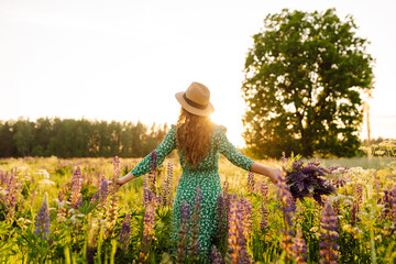 Wall Mural - Beautiful woman at purple lavender field with violet blossom lavanda flowers. Collection of medicinal herbs.