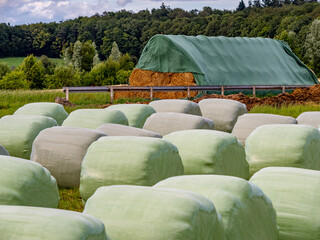 Canvas Print - Heu und Silageballen lagern vor einer Scheune