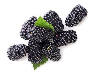 Wall Mural - Blackberries with leaves on a white background. Top view