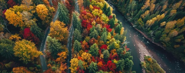 Wall Mural - Aerial view of vibrant autumn forest with colorful foliage and winding river. Scenic nature landscape in fall season.
