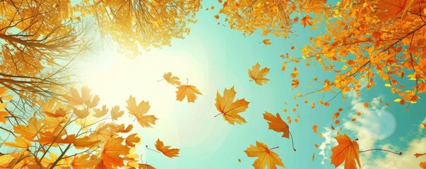 Poster - Golden autumn leaves falling from trees against a clear blue sky with sunlight shining through, capturing the beauty of fall season.