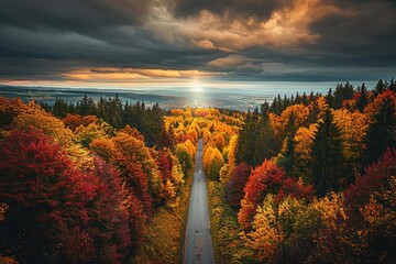 Wall Mural - Stunning aerial view of a road through a colorful autumn forest with dramatic clouds and sunlight breaking through the horizon.