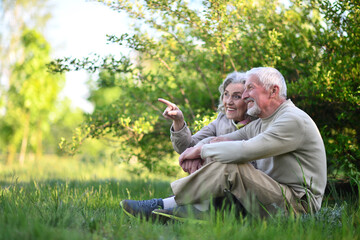 Wall Mural - Portrait of senior couple sitting on the grass in the park