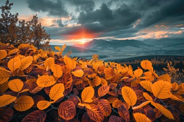 Aufkleber - Stunning sunset over mountains with vibrant autumn foliage in the foreground, showcasing nature's beauty and tranquility.