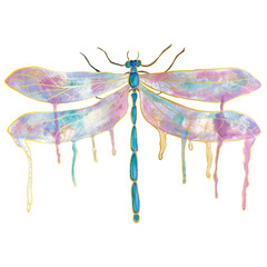 Sticker - Hand-drawn Dragonfly. Modern creative design watercolor texture. Vector illustration.