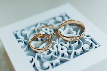 Wall Mural - Gold wedding rings for newlyweds. Precious wedding rings for a couple.