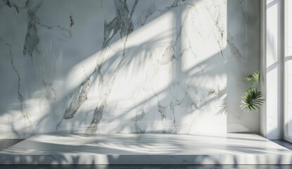 Poster - This is a simple abstract light gray background to showcase your product. On the plaster wall, shadows and light flood in from the windows.