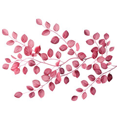 Elegant illustration of pink leaves and branches, perfect for botanical-themed designs and creative projects, isolated on a transparent background.