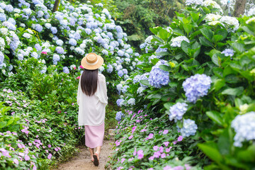 Wall Mural - Beautiful woman walk in the Hydrangea flower garden