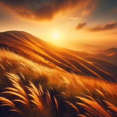 Wall Mural - wheat field at sunset